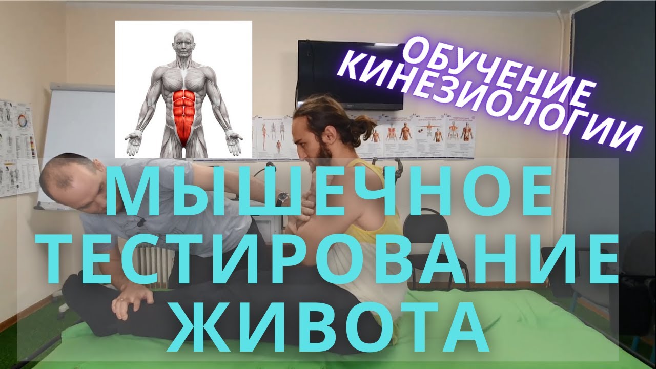 Протестируй живот. ММТ мышц живота. Прикладная кинезиология