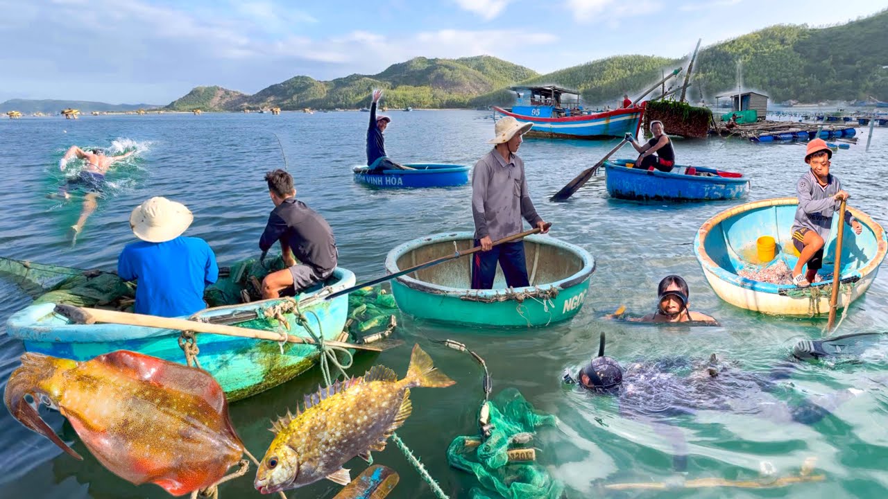 Nghề Nuôi Hải Sản Trên Đầm Cù Mông | Nể Phục Lão Ngư Một Mình Kéo Lưới Rùng