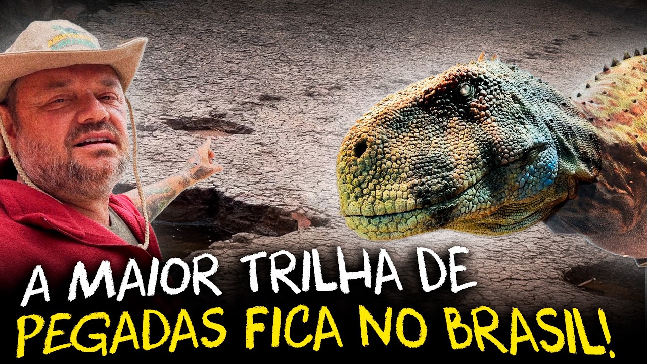DESCOBRI A MAIOR TRILHA DE PEGADAS DE DINOSSAUROS DO MUNDO!