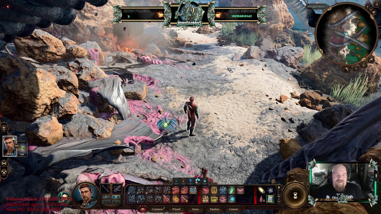 Solo Wizard vs BG3 Honour Mode I Road to 500 Subscribers
