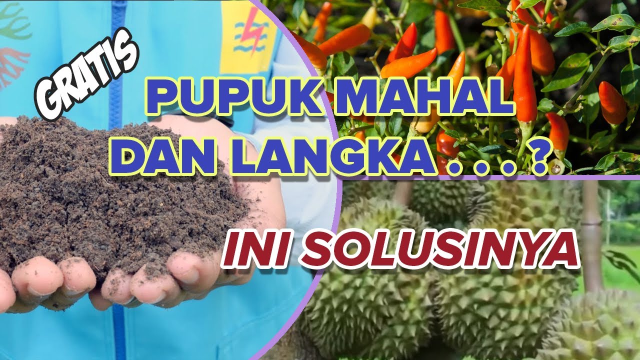 Pupuk Murah dan Gratis. Abu Batubara (Fly Ash) Sebagai Pengganti Pupuk?