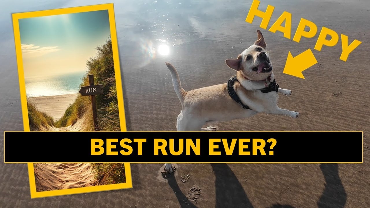 Can a Run Be This Perfect? Beadnell Adventure with My Dog