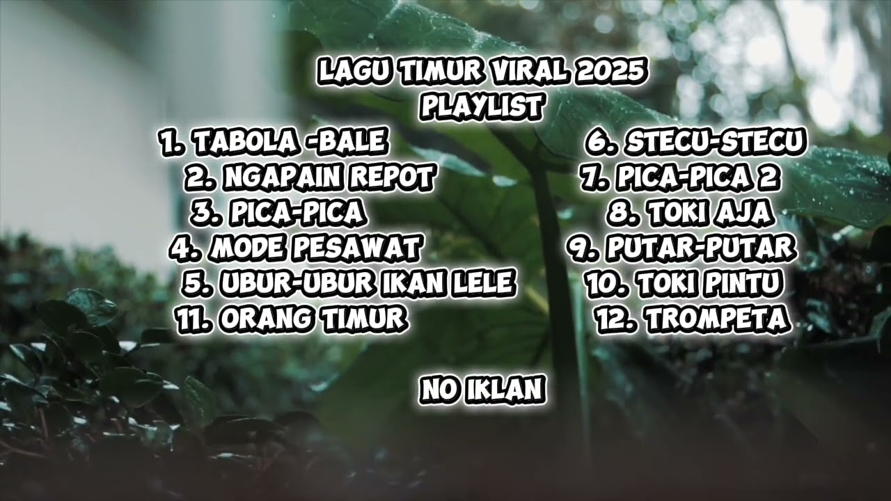 Lagu Timur Viral 2025 NO IKLAN #laguviral #lagutimur #laguhits #lagutrending #lagupopuler #laguindo
