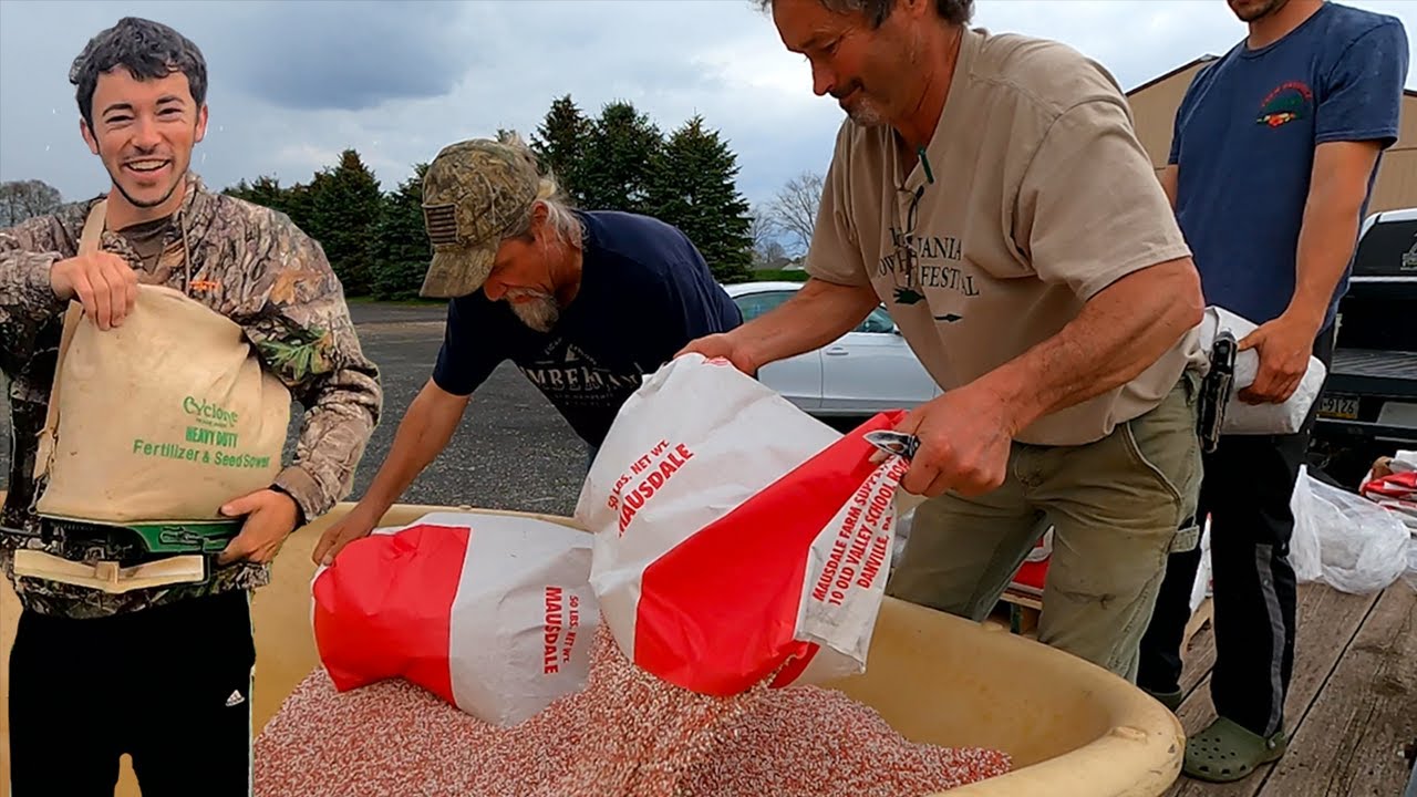 Planting Timothy and Spreading Fertilizer