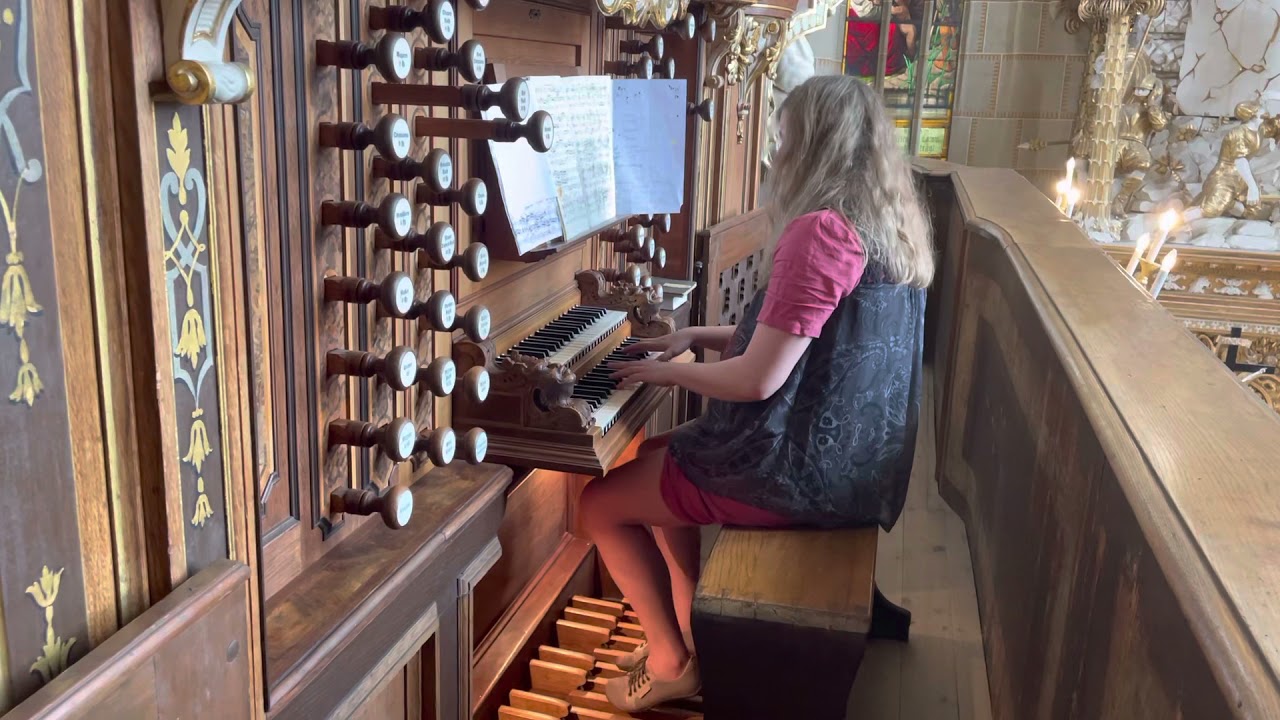 Mendelssohn Sonate op. 65/4 2. Satz Trost Orgel Schlosskirche Altenburg Thüringen Residenz-Schloss