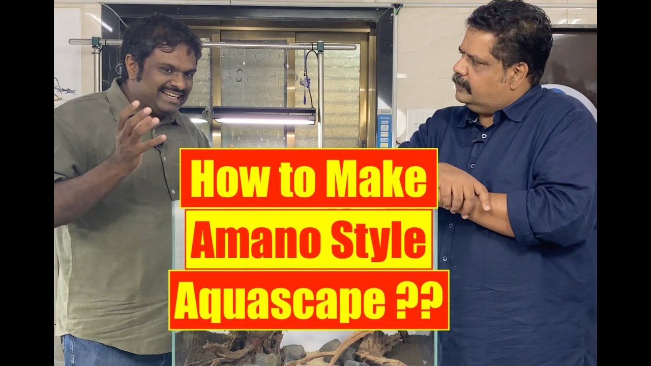 Amano Style Aquascape | Nature Aquarium Setup | Mayur Dev Aquascaper | Adip Sajjan Raj  4K