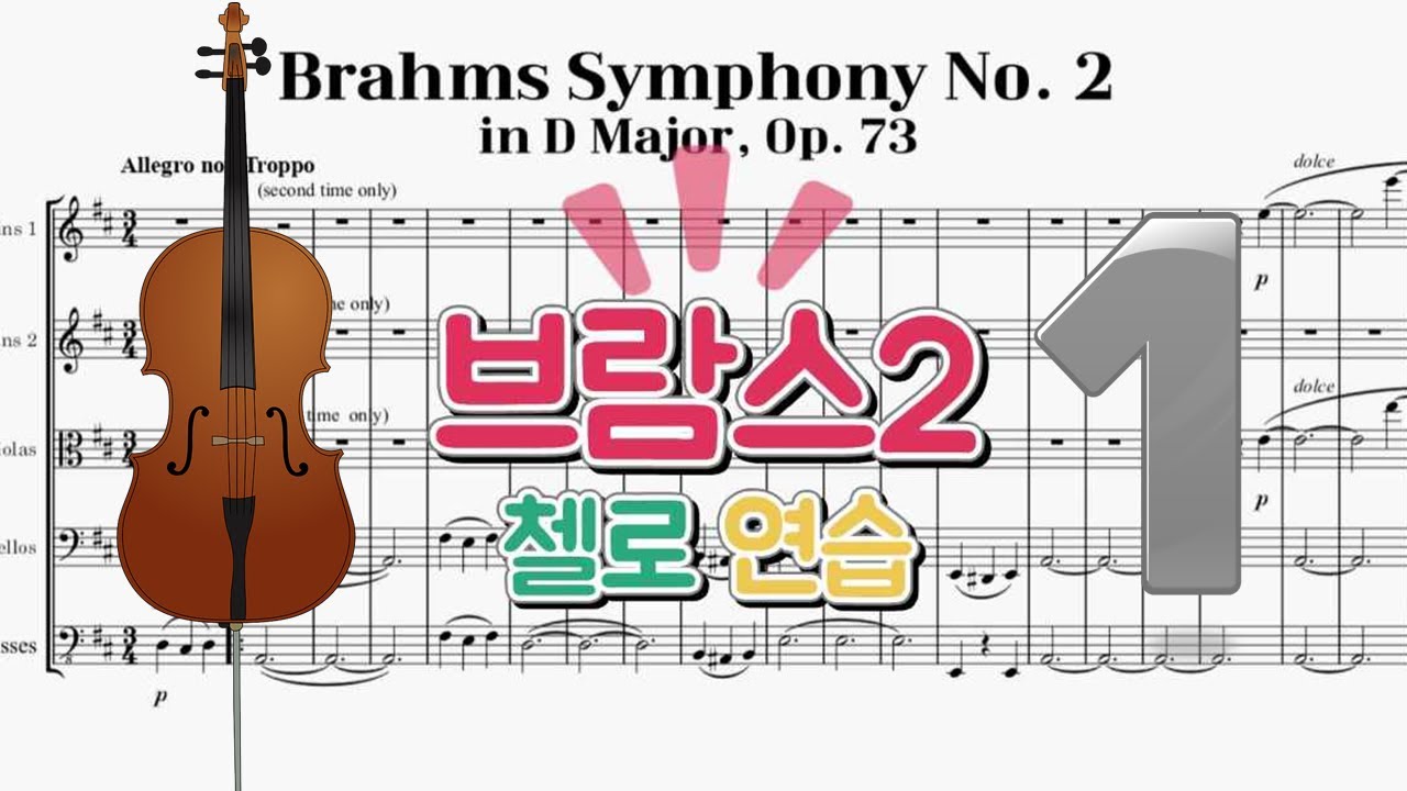 브람스 교향곡 2번, 🎵1악장 첼로파트 연습 (Brahms  Symphony No.2,1st Mvt. Cello)