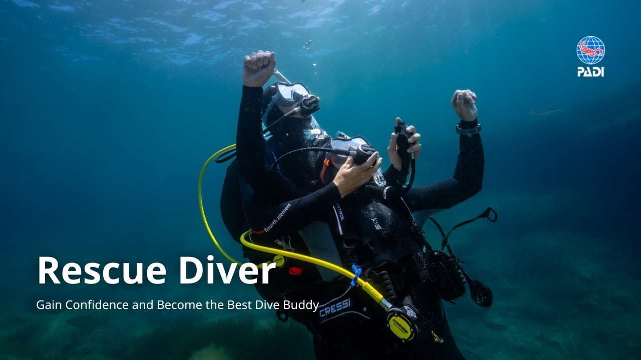 Курс PADI Rescue Diver