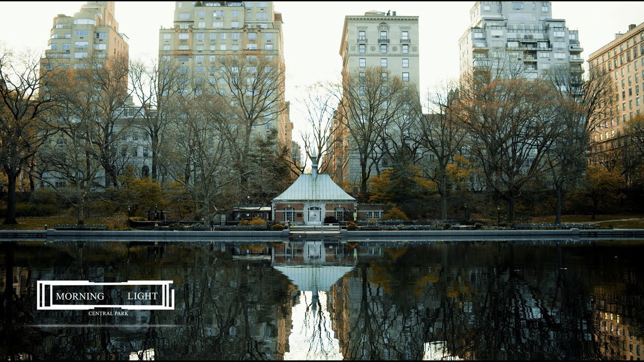 Morning Light | BMPCC 4K with Laowa 17mm f/1.8