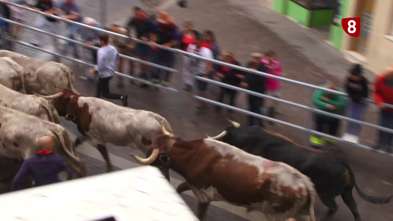 Segundo encierro  de Cuéllar lunes  26 08 19