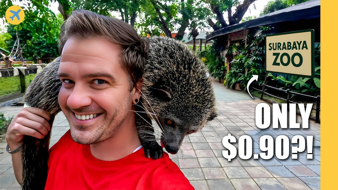 Самый большой зоопарк Индонезии обойдется менее чем в 1 доллар!