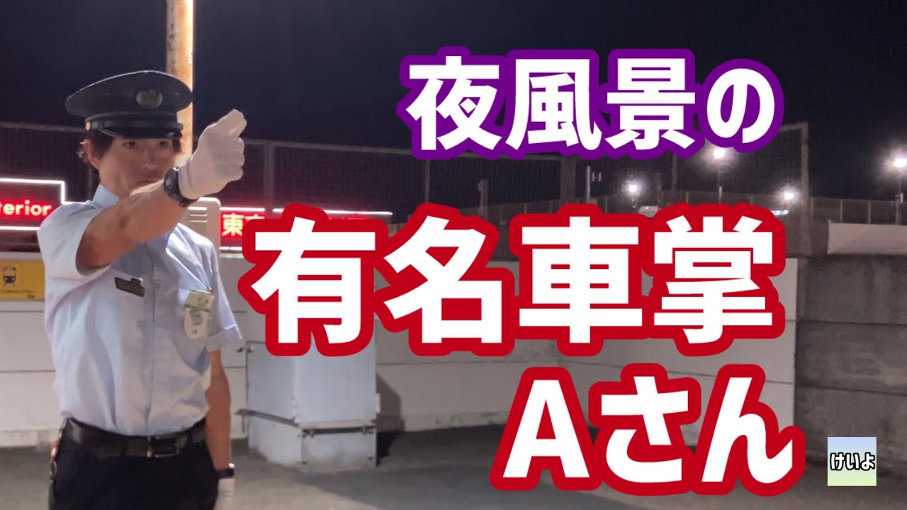 【有名車掌】夜風景の有名車掌Aさん　蘇我〜東京　#aさん 