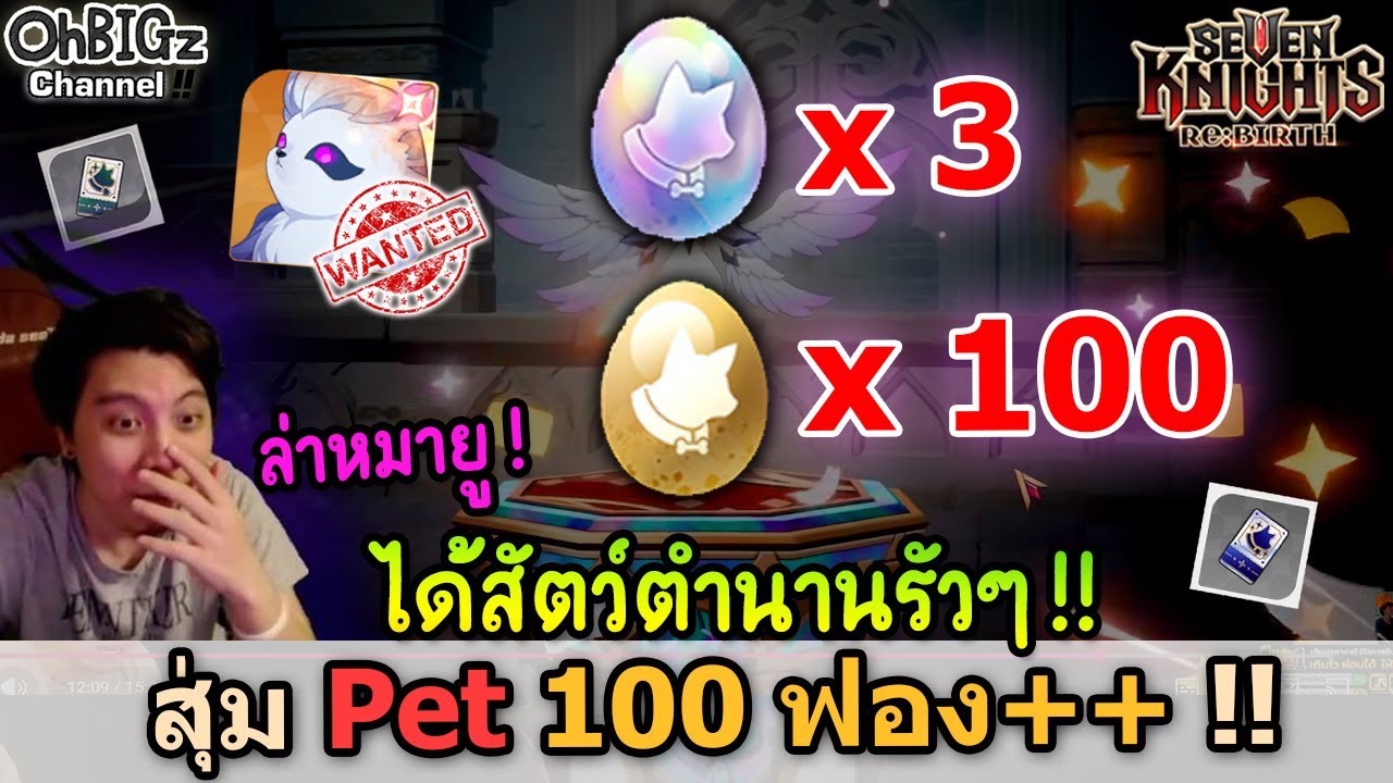 สุ่ม Pet สัตว์ Legend มารัวๆ !! Seven Knights RE:BIRTH