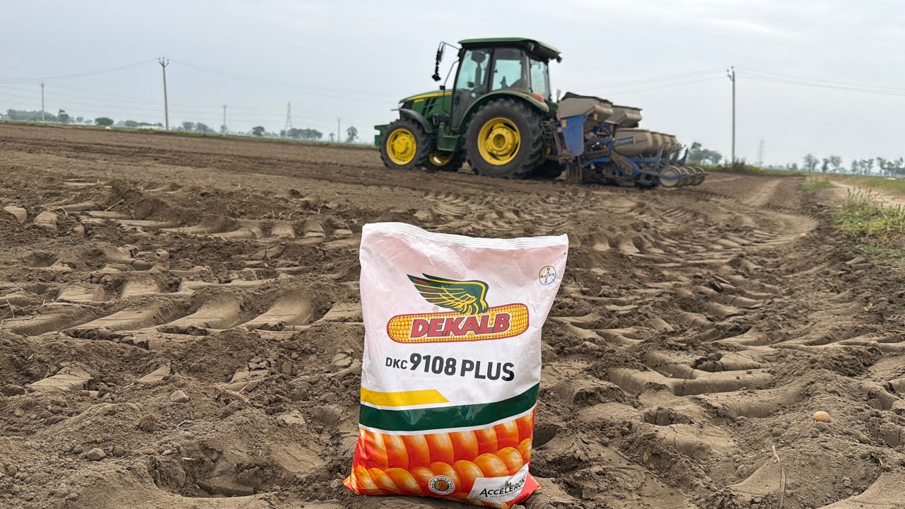 ਅੱਜ ਮੱਕੀ 🌽 ਦੀ ਬੀਜਾਈ ਕੀਤੀ 9108 ਦੀ ਤੇ ਸੂਰੀਆਂ ਆਲੂ 🥔 ਦੀ ਗਰੇਡਿੰਗ ਕੀਤੀ ਸੁਰੂ 