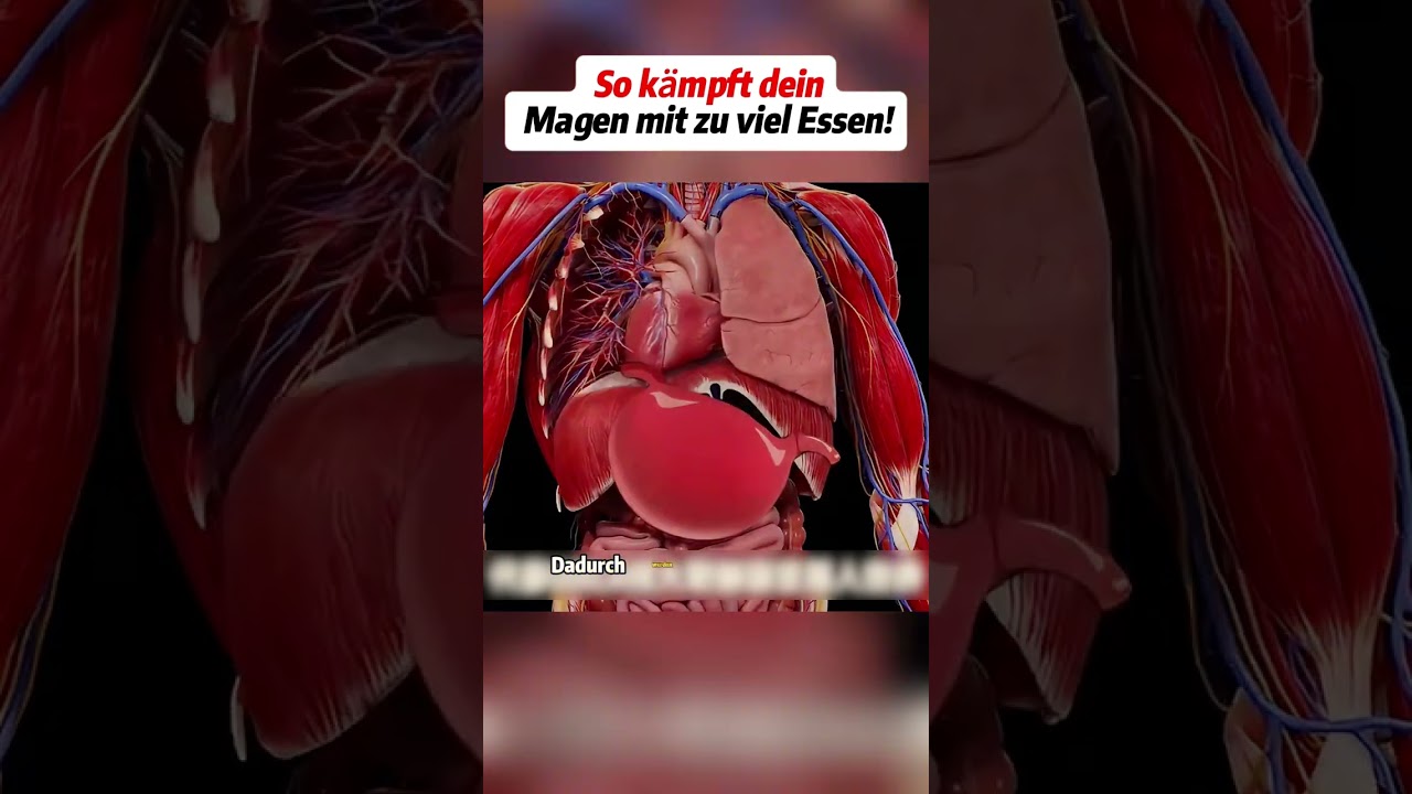So k&auml;mpft dein Magen mit zu viel Essen! #gesundessen #k&ouml;rperwissen #&uuml;beressen