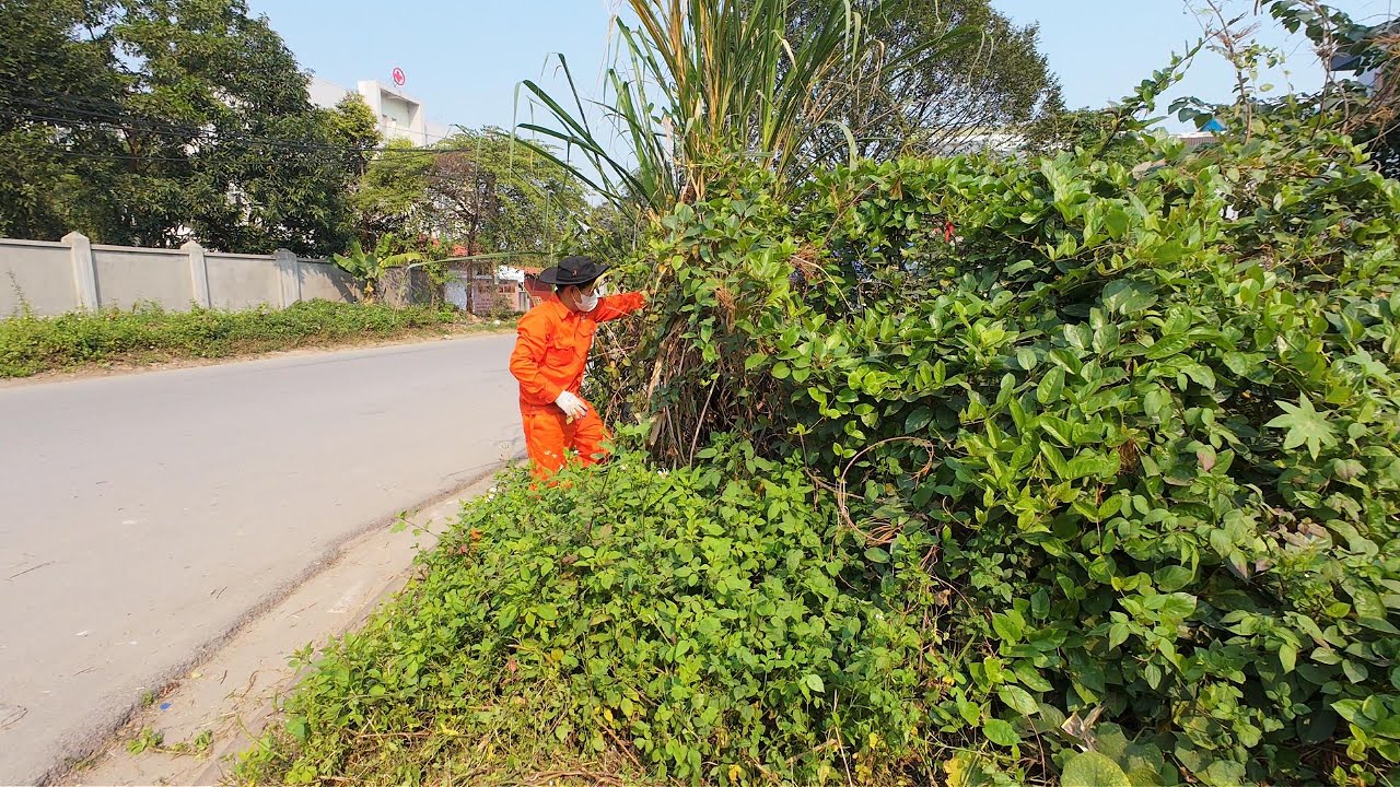 This sidewalk wasn't worth our time cleaning, but things have changed. - short clean up