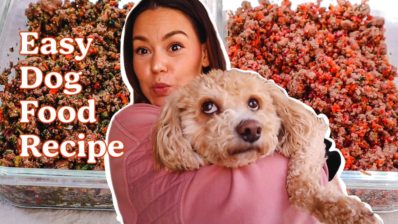 Easy + Fast Homemade Dog Food Recipe | Cooking Healthy For Your Dog