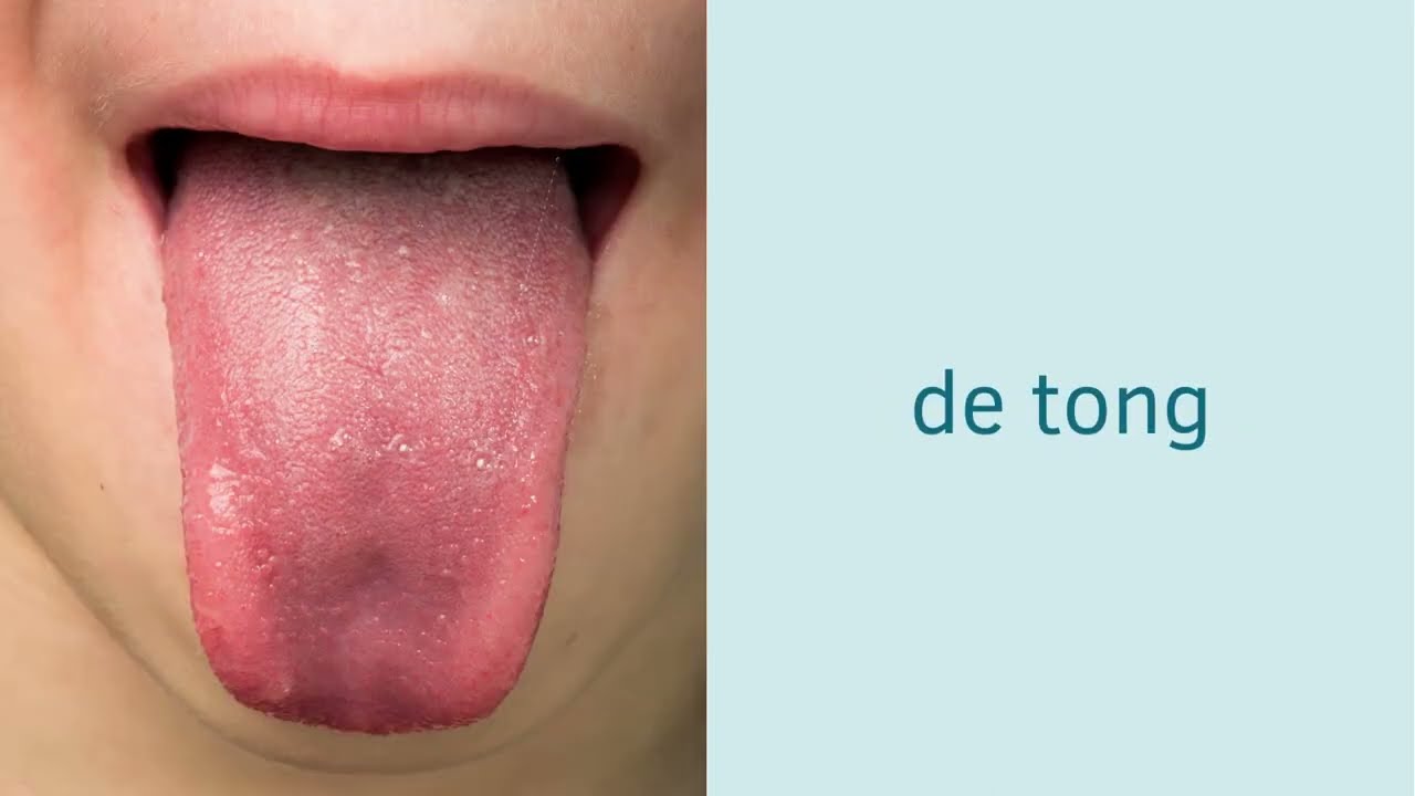 Lichaamsdelen