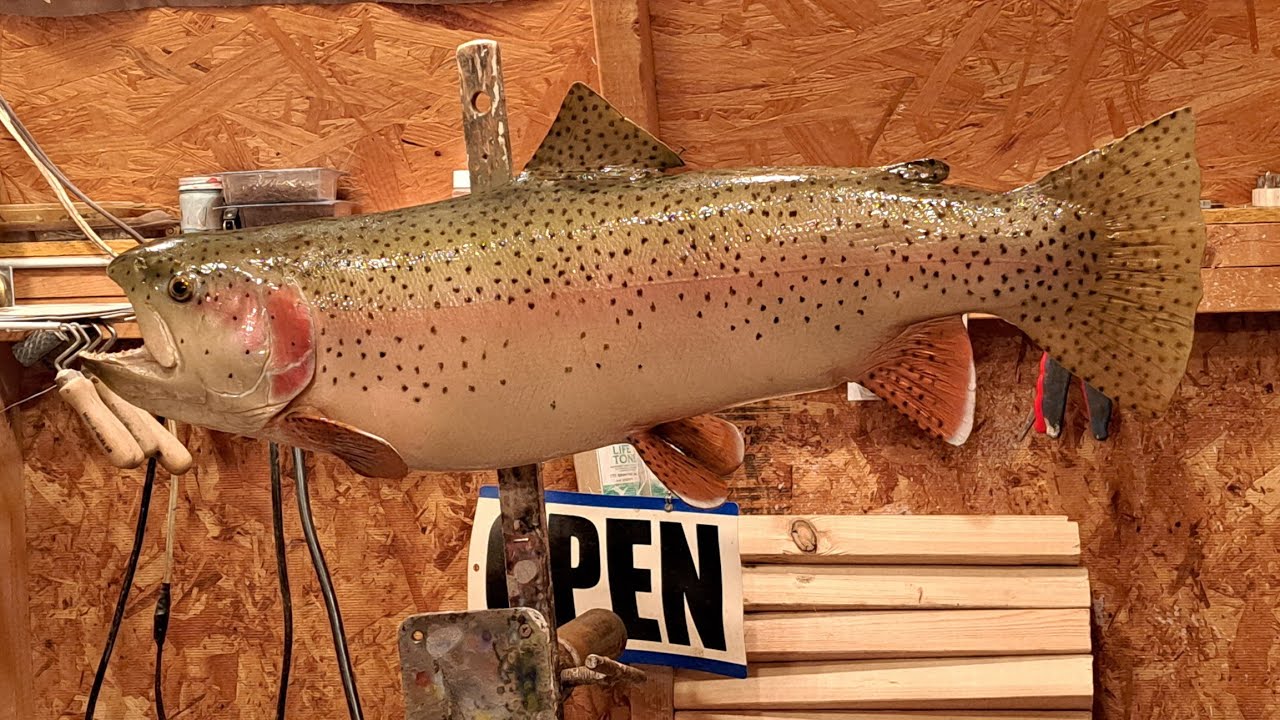How to Prep/Paint a Reproduction Rainbow Trout