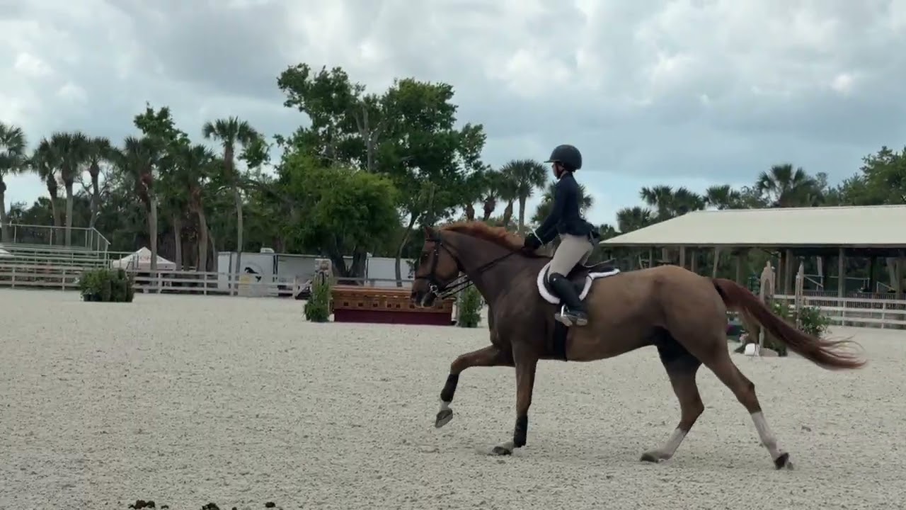 51. Winning Age Group Over Fences on Hamilton @ VET XI