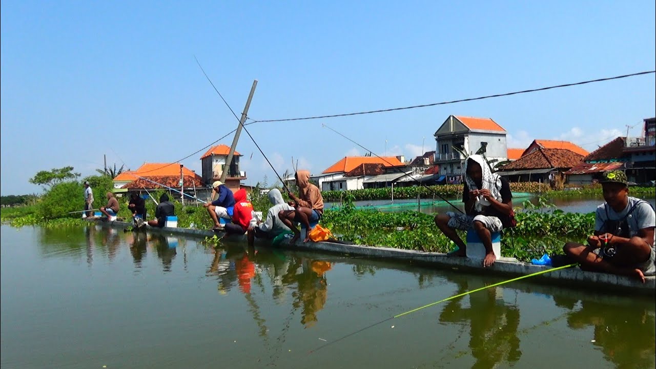 Mancing liaran berasa mancing di kolam,,, ikan mas-nila dan tawesnya besar-besar semua
