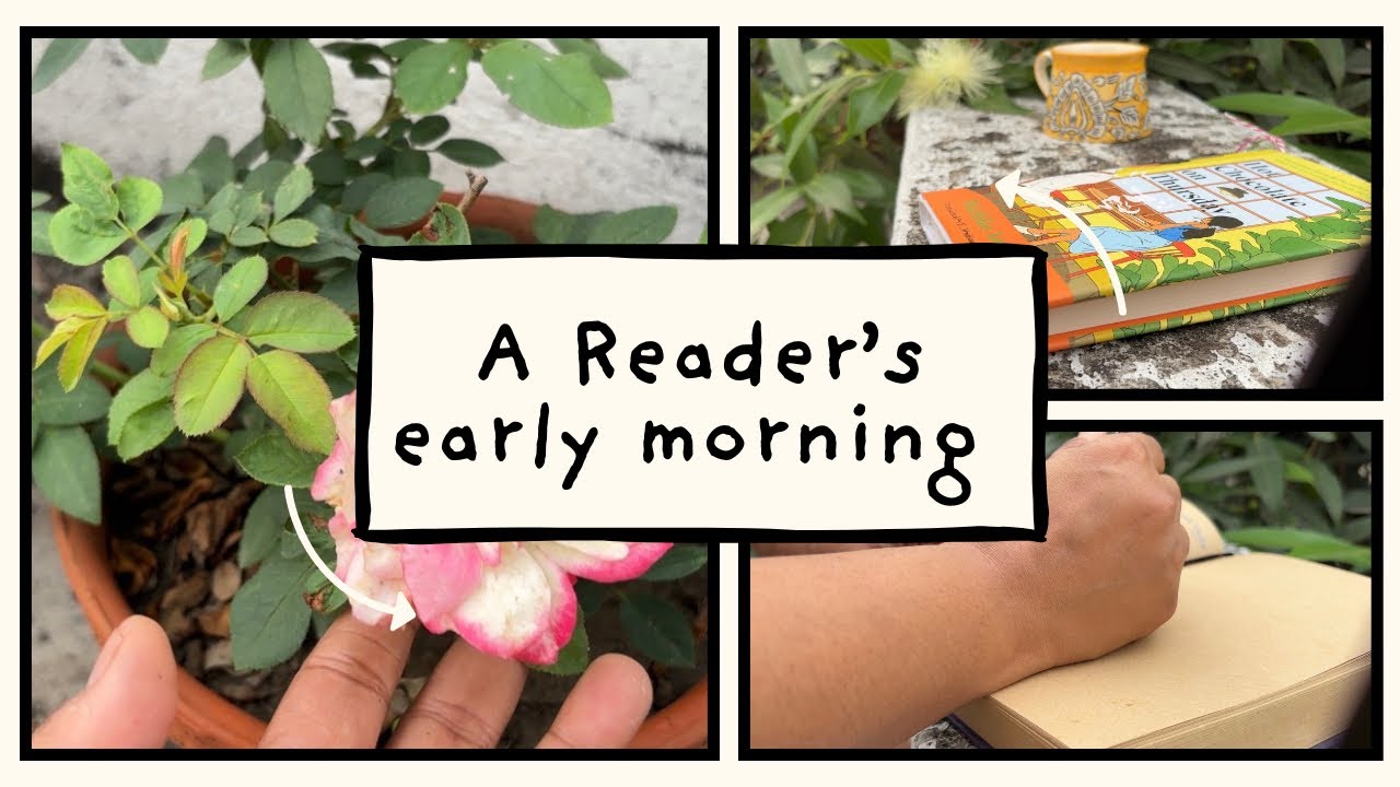 Peaceful Early Morning Routine of a Book Lover | Silent Vlog