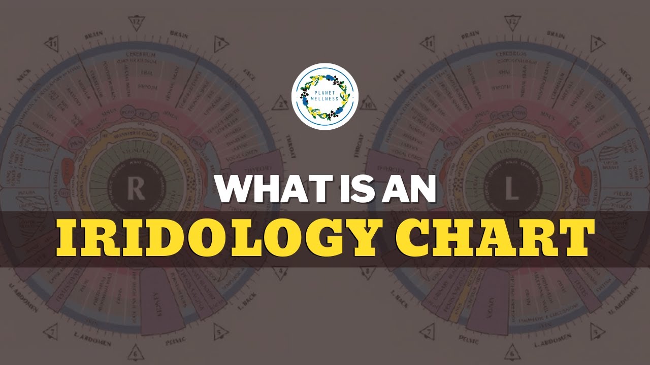 What Is An Iridology Chart ?