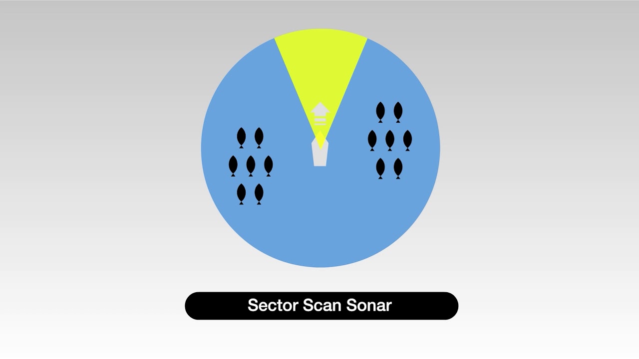 Sector scanning Sonar image