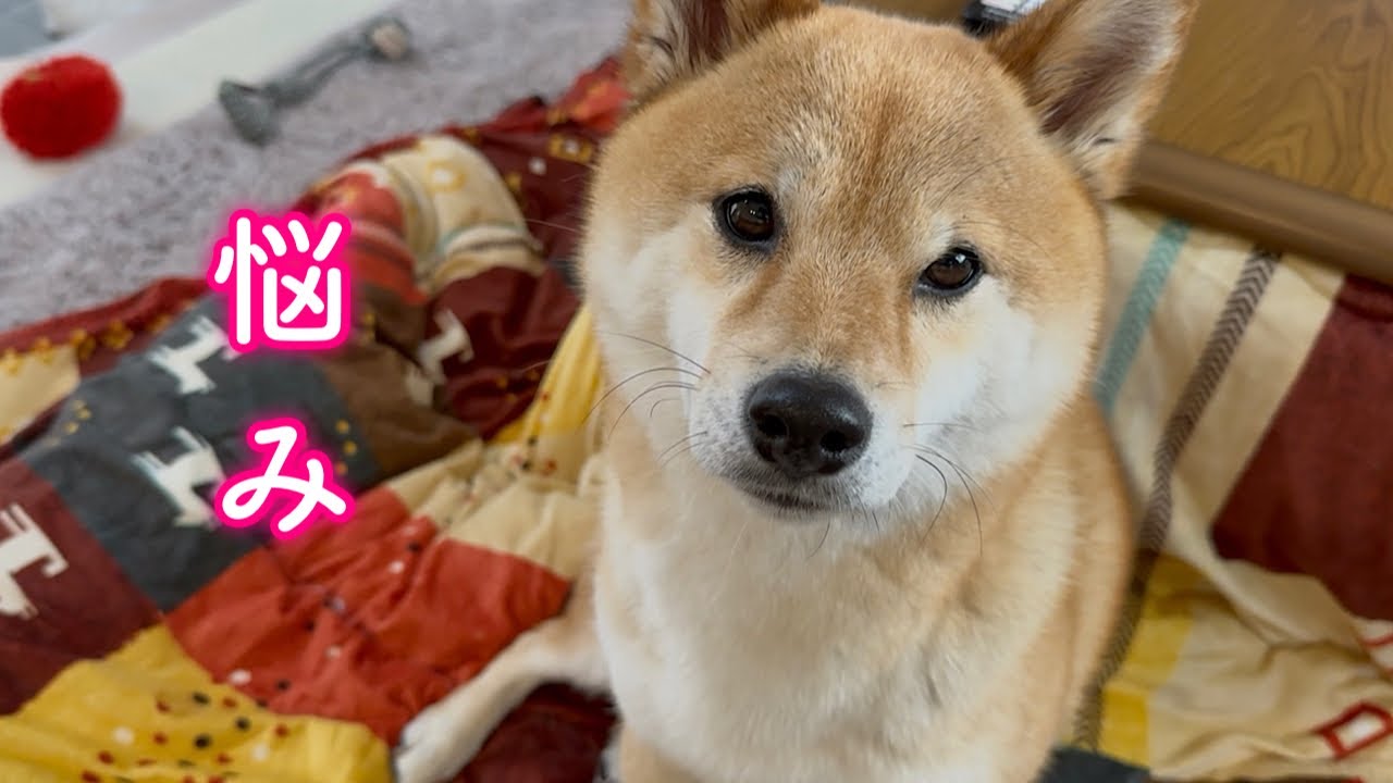 セカンドオピニオンを受けに行くことになりました