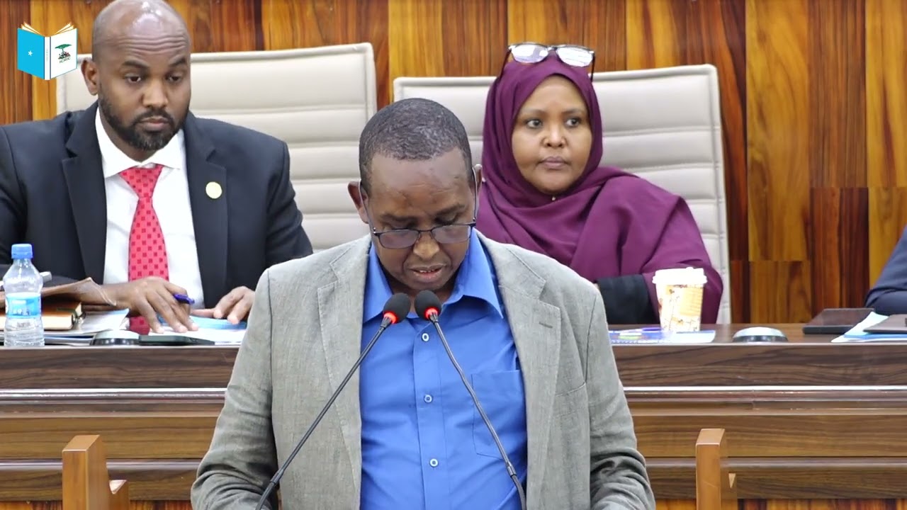 Mohamed Ibrahim Nur