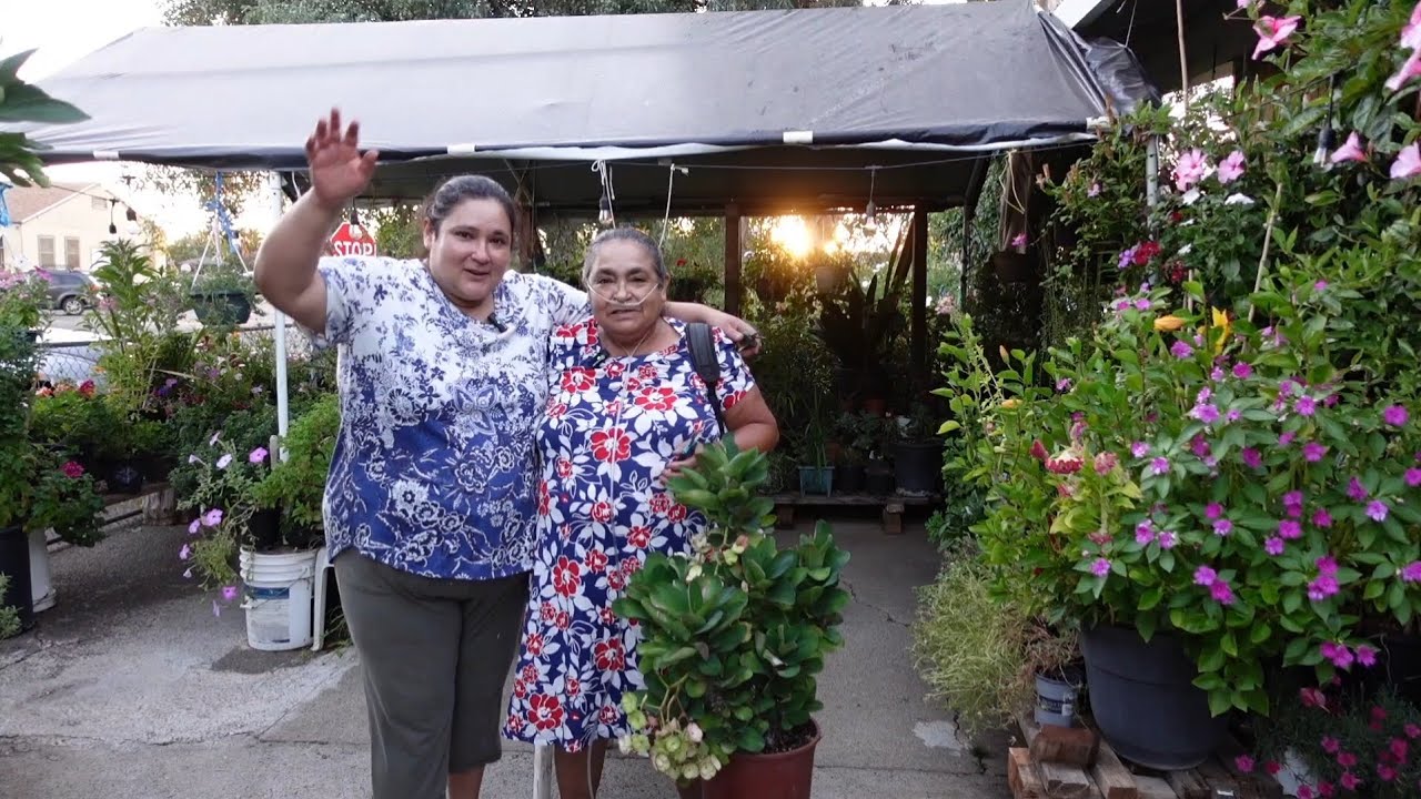 La segunda parte del rescate a mi ( mamá)