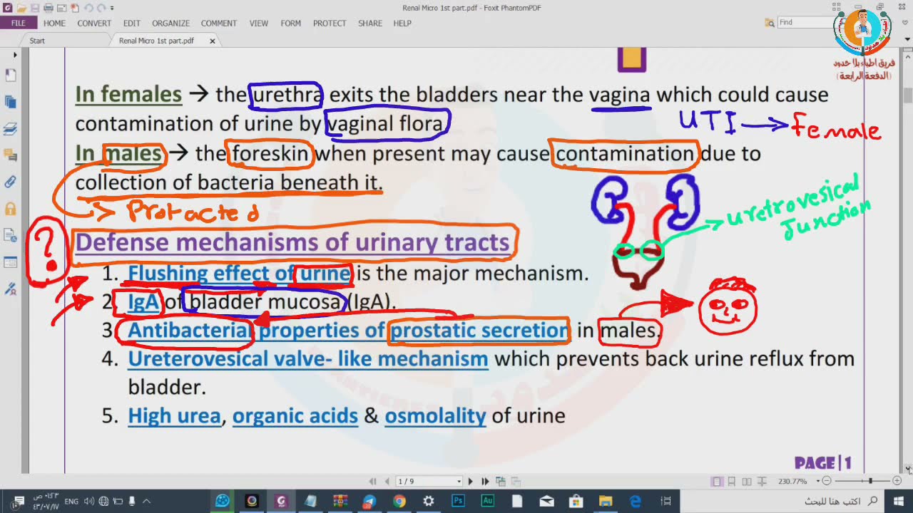 1- Renal system - ( Microbiology ) للدكتور أحمد عصام