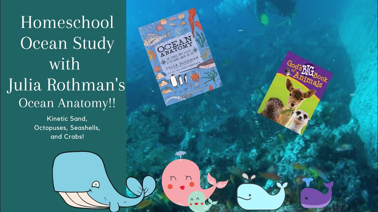Homeschooling Preschool and Kindergarten-Ocean Anatomy Unit Study
