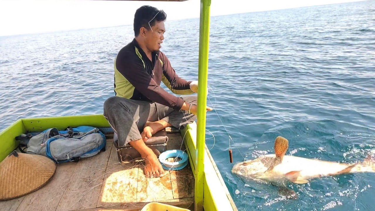 NEMU LOKASI SARANG IKAN KERAPU || pancing no 8 mampu taklukan ikan sebesar ini?