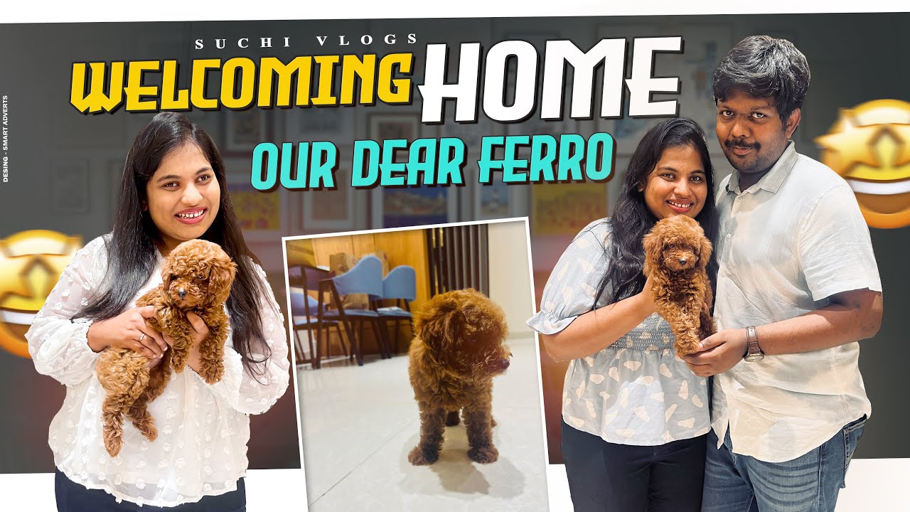 Welcoming Home our Dear Ferro 🐶 || Toy Poodle 🐩 || 40 days old😍 #vlog #toypoodle