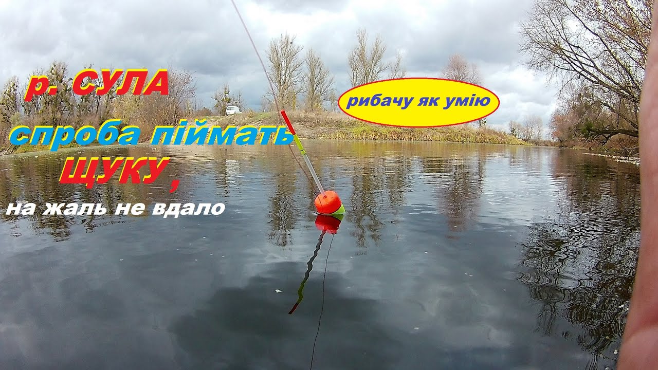 Домашня рибалка . Щука на живця.