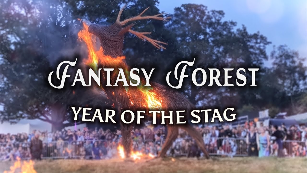 Fantasy Forest 2024 | Price, Orchestra and Wicker Burning! | UK Festival Vlog