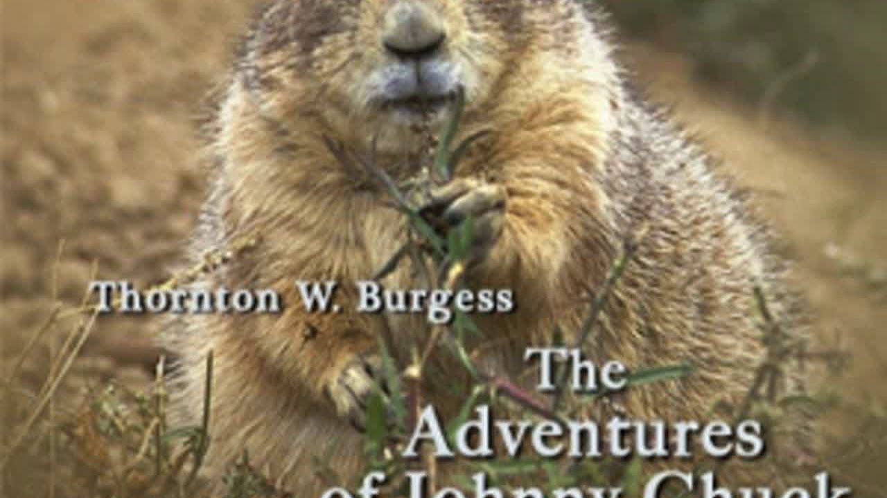 The Adventures of Johnny Chuck by Thornton W. BURGESS read by John Lieder | Full Audio Book