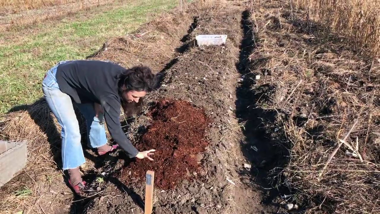 Garlic Planting - Prepping Permanent Raised Beds