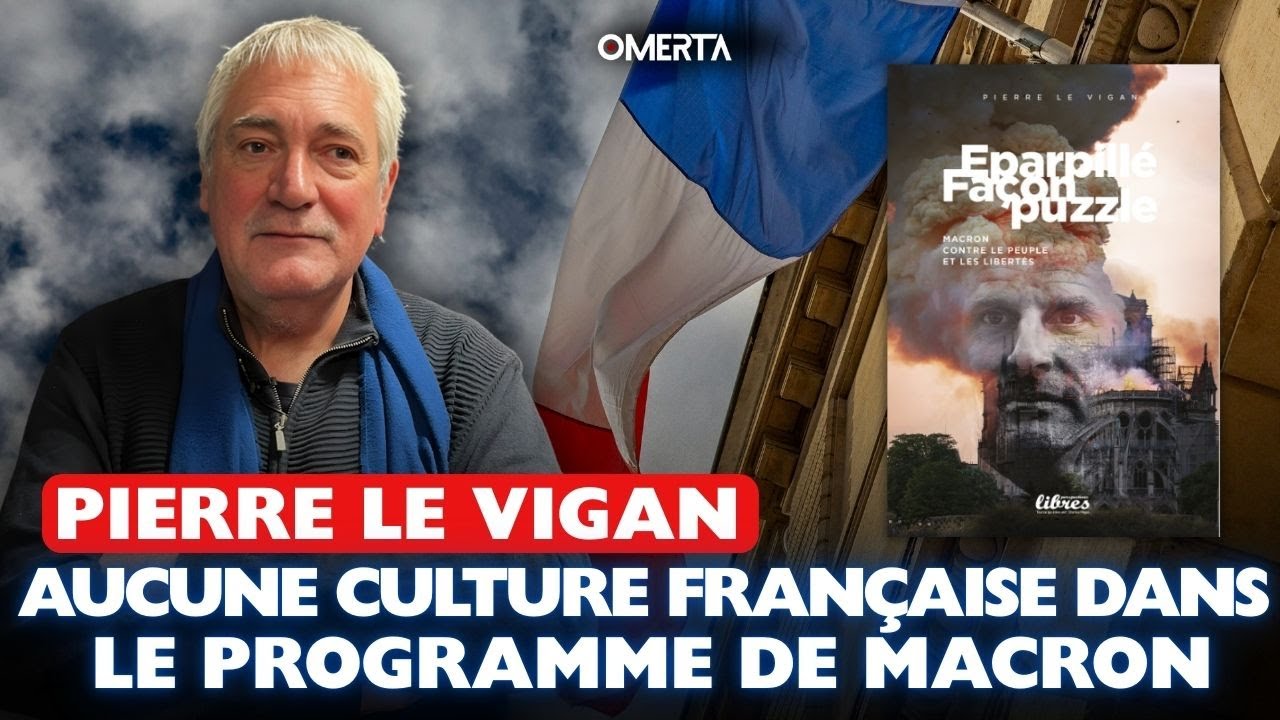 PIERRE LE VIGAN : "AUCUNE CULTURE FRANÇAISE DANS LE PROGRAMME DE MACRON"