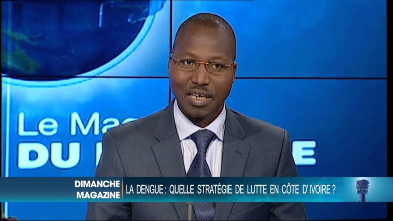 Santé/La Dengue: quelle stratégie de lutte en Côte d'Ivoire?