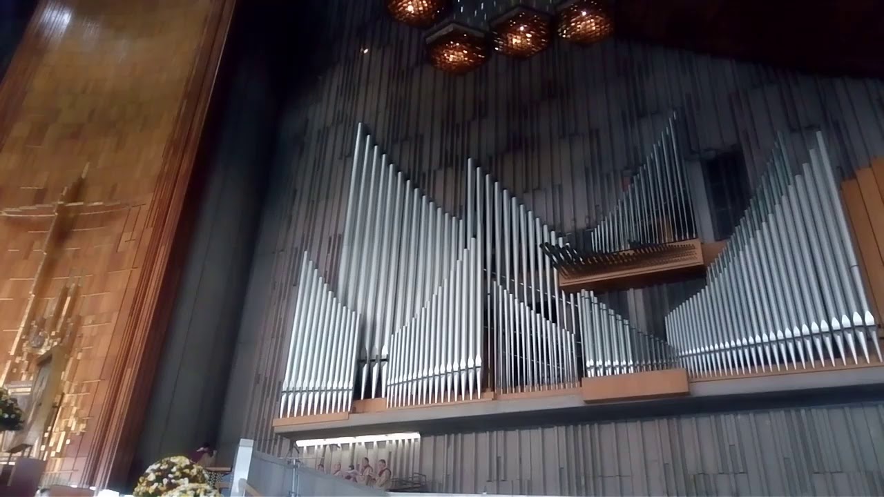 Canto de Ofertorio - Basílica de Guadalupe