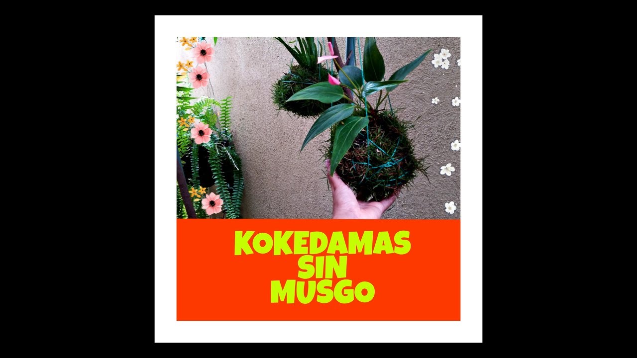 Como Hacer KOKEDAMAS SIN MUSGO- How to make KOKEDAMAS WITHOUT MOSS