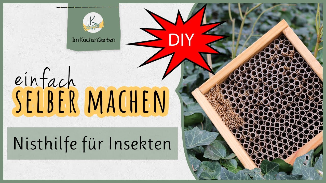 💡 DIY - Nisthilfe für Nützlinge 🐛🐝 - einfach selber machen!!