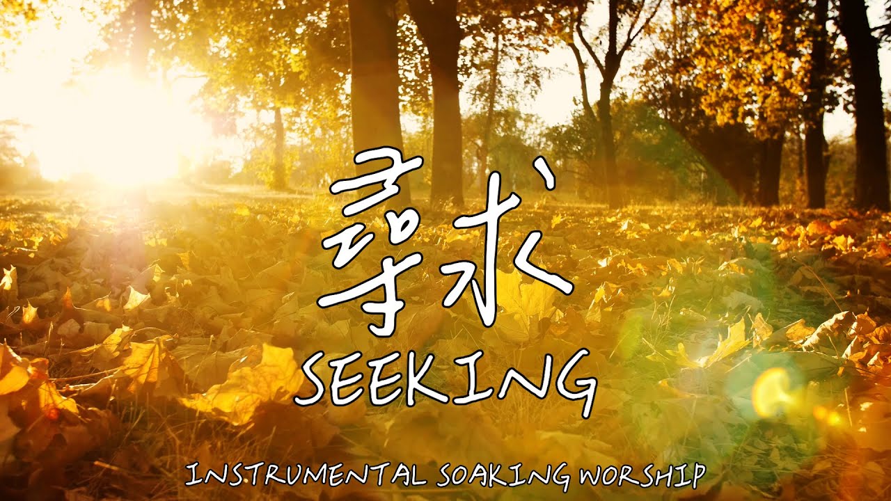 尋求 SEEKING | 等候神音樂 | Soaking Music | 靈修音樂 | Instrumental Music | Worship | 輕音樂