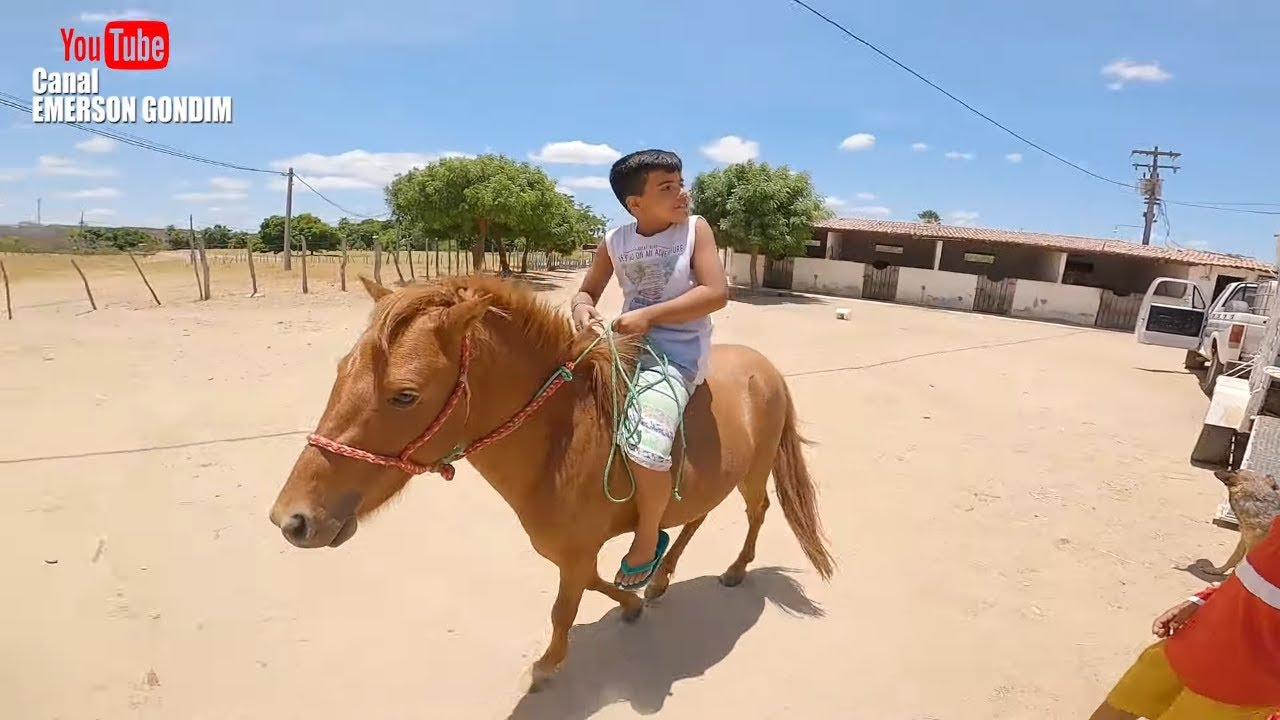 O PÔNEI CHEGOU NO PARQUE GUARANI E O VAQUEIRO LEVY JÁ MONTOU