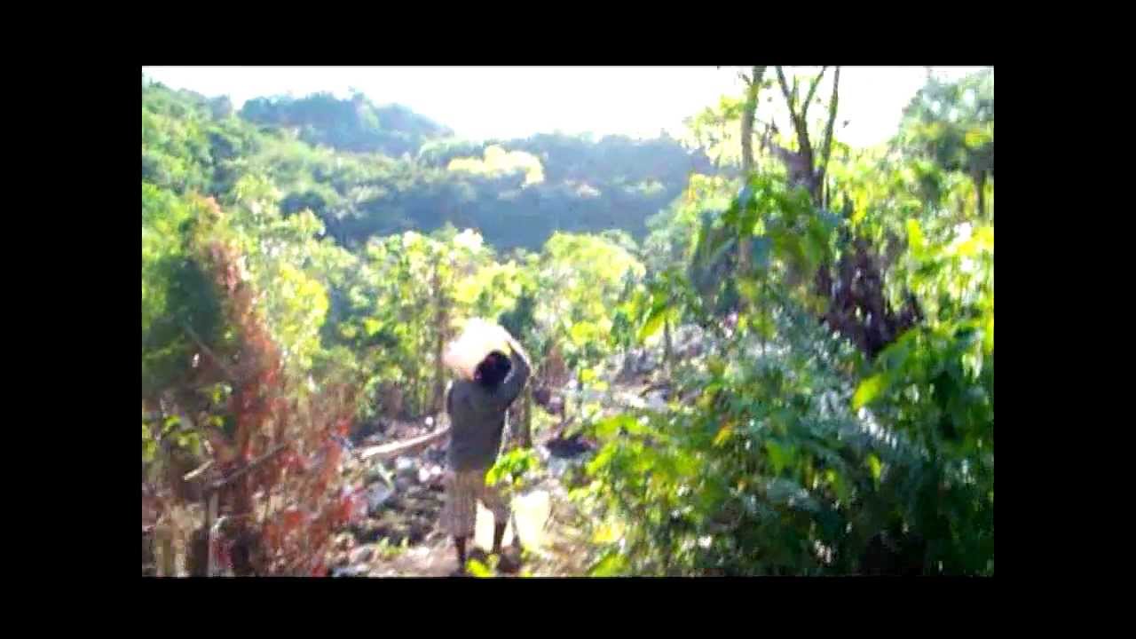 Skone - What I Saw  [OFFICIAL MUSIC VIDEO]