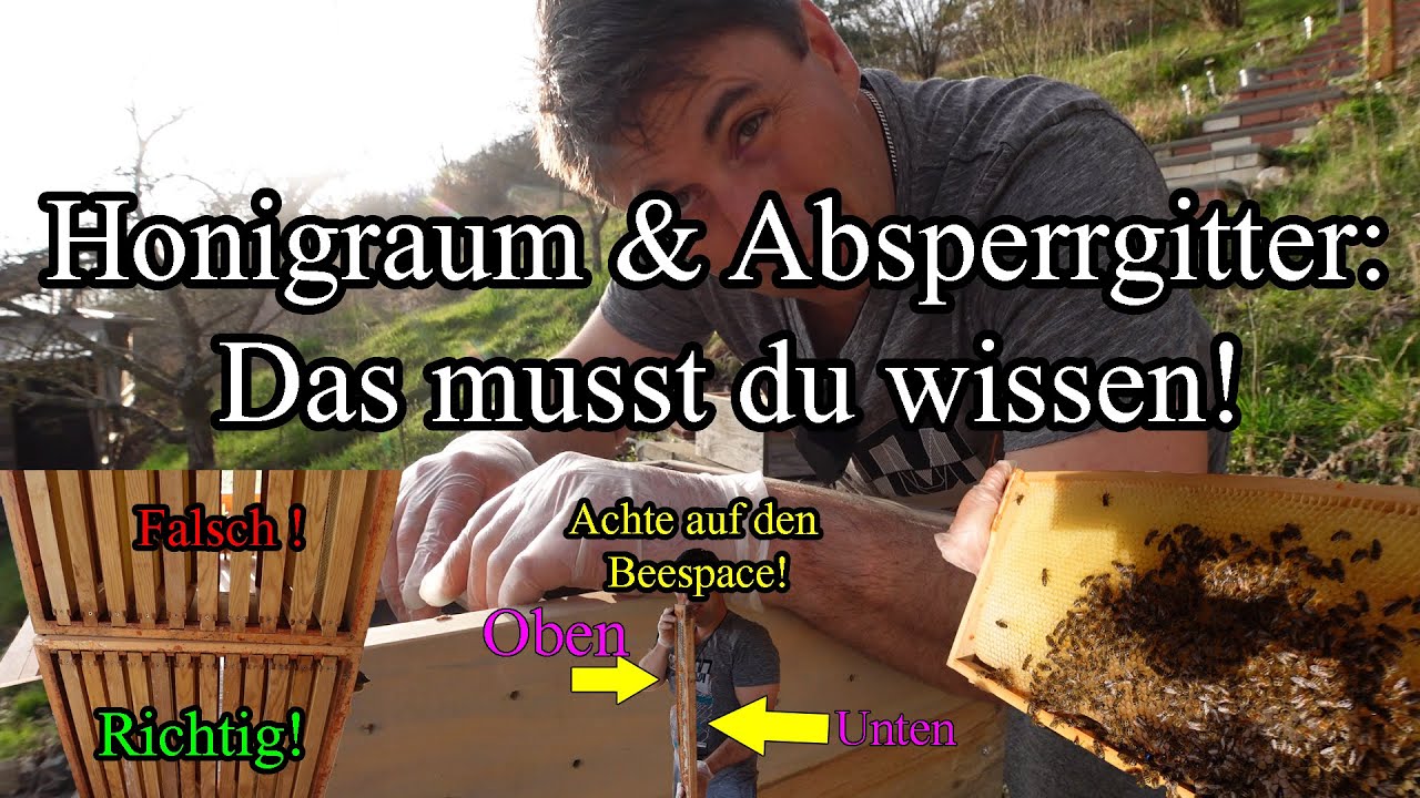 Zander vs. Dadant – Honigräume clever aufsetzen