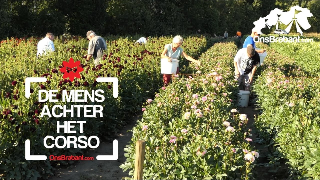 DE MENS ACHTER HET CORSO vanaf augustus op Ons Brabant