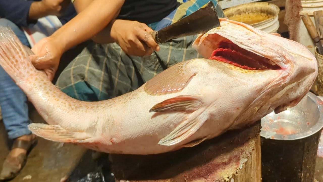 12 KG Giant Hamour Fish Cutting Skills In Bangladesh Fish Market | Fish Cutting Skills